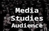 Media Studies Audience