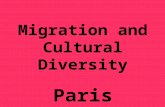 Paris migrations and cultural diversity