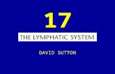 17 DAVID SUTTON PICTURES The Lymphatic System