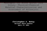Christopher McKay - Rensselaer Polytechnic Institute - Doctoral Defense Presentation