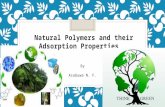 Natural polymers and adsorption properties