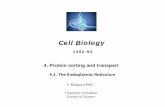 5.ER - cell biology