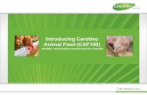 Carotino Animal Feed CAF100
