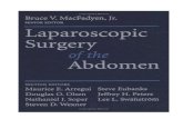 Laparoscopic surgery of the abdomen, 1st edition