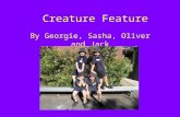 Creature Feature Green Gropers