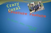 Creature Feature Crazy Coral