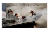 CFD Annual Report 2013
