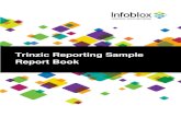 Trinzic Reporting Sample Report2