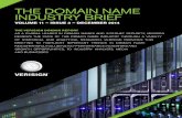 Domain Name Report December2014