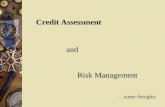 Credit and Risk Presentation for Srei