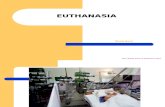KULIAH I Euthanasia