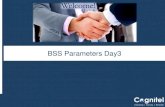 BSS Parameters Day3