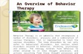 An Overview of Behavior Therapy