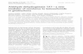 Aldehyde Dehydrogenase 1A1—a New Mediator of Resistance to Temozolomide in Glioblastoma