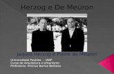Herzog e de Meuron Pronto