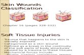 Skin Wounds Classifications
