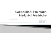 Human Hybrid Vehicle