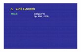 F1 - Cell Growth