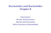 Biological Chemistry chapter 8