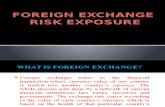 Foreign Exchange Risk Exposure.pptx