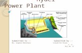 Hydel Power Plant
