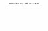Lecture Xi - Transport Systems in Plants