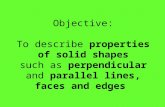 Properties of 2D -3D Shapes