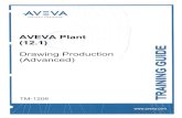Aveva Plant Drawing Production Advanced PDF