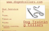 Electronic Dog Collar