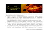 Geopolitics and Sanskrit Phobia by Dr Rajiv Malhotra