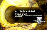 Antibacterial Slides