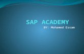 Sap Academy Activity