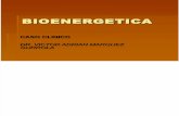 Bioenergetica Caso Clinico