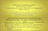 [Dr. Munawir] Environmental and Nutrition Pathology