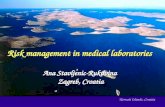 Risk Management in Medical Laboratories