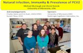 Natural Infec-on, Immunity & Prevalence of PCV2-140314153142-phpapp02