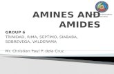 Group 6- Amides and Amines (2).pptx
