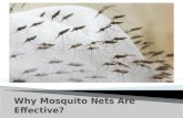 Why Mosquito Nets Are Effective?