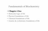 Foundations of Biochemistry.pdf
