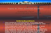 1) Judicial System -Amended 2013