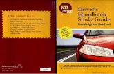 Driver's Handbook Study Guide