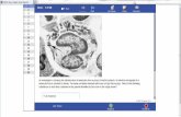 Histology (1).pdf