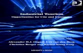 Industrial Tourism (toate capitolele).pdf