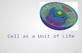Cell as a Unit of Life