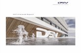 DSV 2014 Annual Report