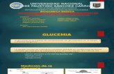 Indice Glicemico y Correlaciones Bioquimicas en El Metabolismo (1)