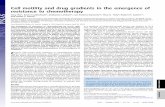 Cell Motility and Drug Gradients in the Emergence of Resistance to Chemotherapy