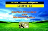 EBF 2054 Capital Structure