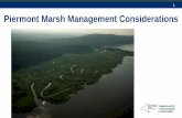 Blair Marsh Veg Management Considerations 061215