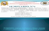 SEMINARIO N°6.pptx